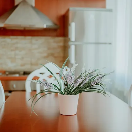 Panoramic Center Apartment