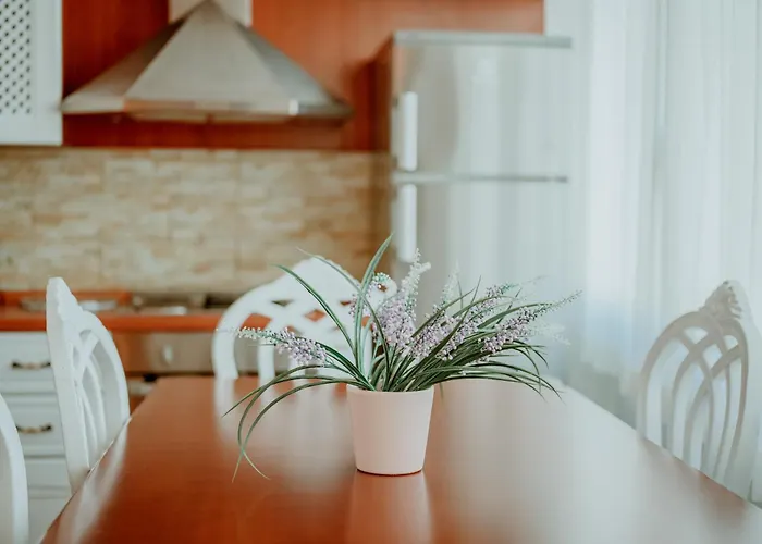 Panoramic Center Apartment